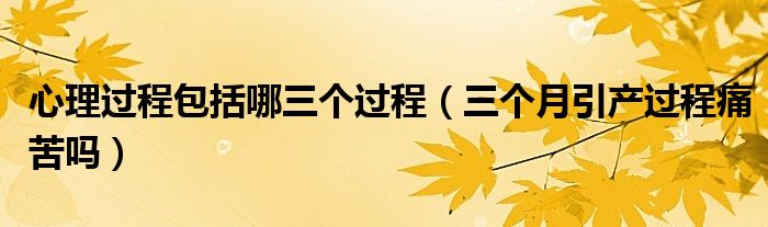 心理過程包括哪三個(gè)過程（三個(gè)月引產(chǎn)過程痛苦嗎）