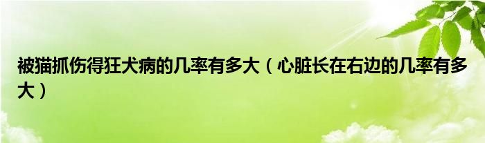 被貓抓傷得狂犬病的幾率有多大（心臟長在右邊的幾率有多大）