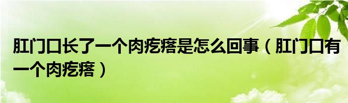 肛門口長了一個肉疙瘩是怎么回事（肛門口有一個肉疙瘩）