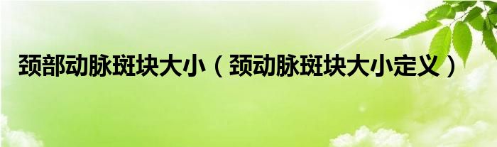 頸部動脈斑塊大?。i動脈斑塊大小定義）