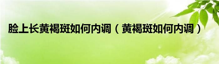 臉上長黃褐斑如何內(nèi)調(diào)（黃褐斑如何內(nèi)調(diào)）