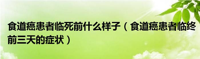 食道癌患者臨死前什么樣子（食道癌患者臨終前三天的癥狀）