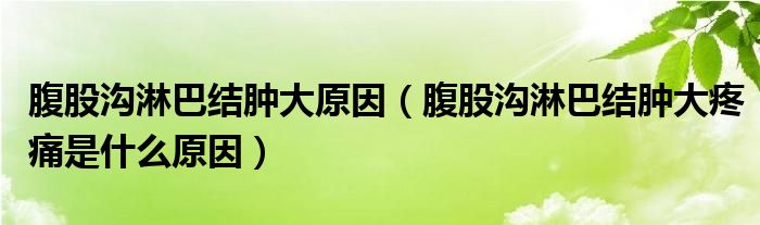 腹股溝淋巴結(jié)腫大原因（腹股溝淋巴結(jié)腫大疼痛是什么原因）