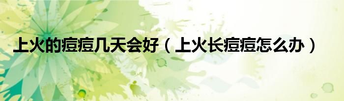 上火的痘痘幾天會(huì)好（上火長(zhǎng)痘痘怎么辦）