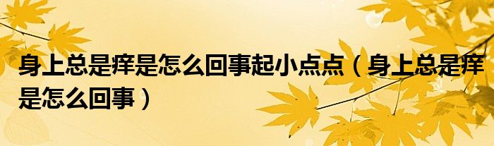 身上總是癢是怎么回事起小點(diǎn)點(diǎn)（身上總是癢是怎么回事）