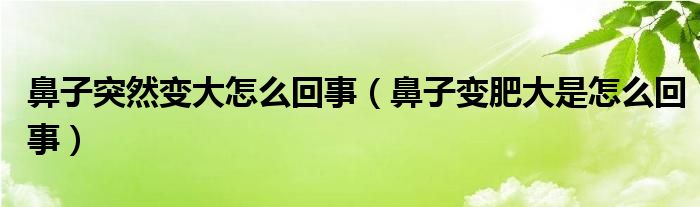 鼻子突然變大怎么回事（鼻子變肥大是怎么回事）