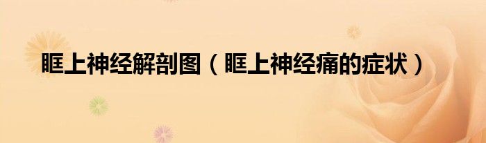 眶上神經解剖圖（眶上神經痛的癥狀）