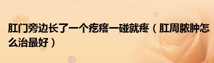 肛門(mén)旁邊長(zhǎng)了一個(gè)疙瘩一碰就疼（肛周膿腫怎么治最好）