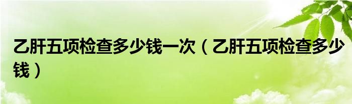 乙肝五項(xiàng)檢查多少錢一次（乙肝五項(xiàng)檢查多少錢）