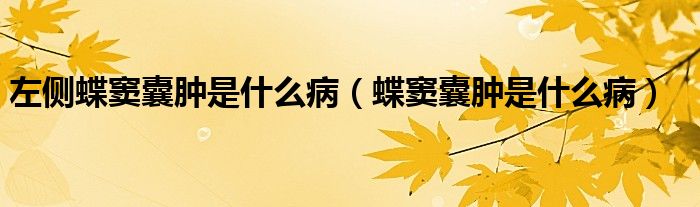 左側(cè)蝶竇囊腫是什么?。ǖ]囊腫是什么病）