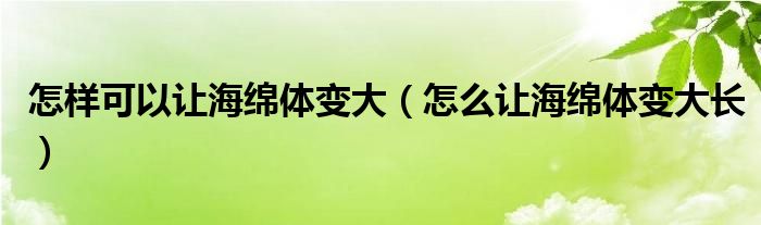 怎樣可以讓海綿體變大（怎么讓海綿體變大長）