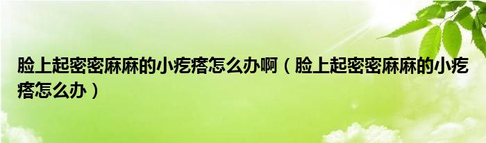 臉上起密密麻麻的小疙瘩怎么辦?。樕掀鹈苊苈槁榈男「泶裨趺崔k）