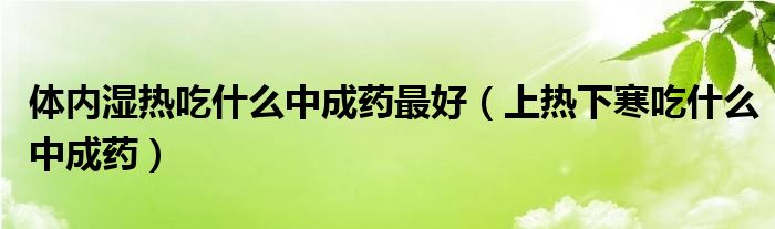 體內濕熱吃什么中成藥最好（上熱下寒吃什么中成藥）