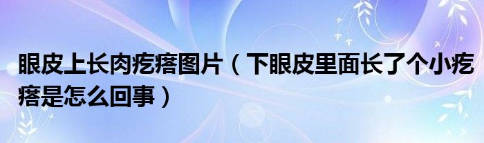 眼皮上長肉疙瘩圖片（下眼皮里面長了個小疙瘩是怎么回事）