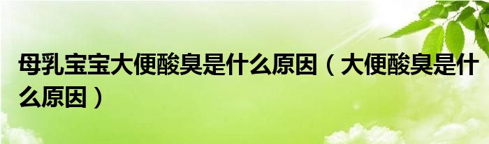 母乳寶寶大便酸臭是什么原因（大便酸臭是什么原因）