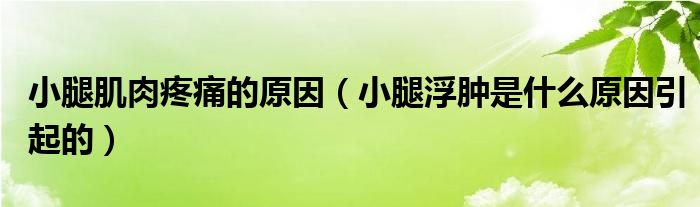 小腿肌肉疼痛的原因（小腿浮腫是什么原因引起的）