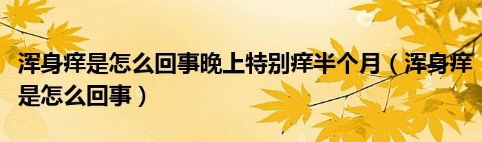 渾身癢是怎么回事晚上特別癢半個月（渾身癢是怎么回事）