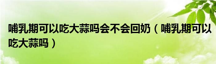 哺乳期可以吃大蒜嗎會不會回奶（哺乳期可以吃大蒜嗎）