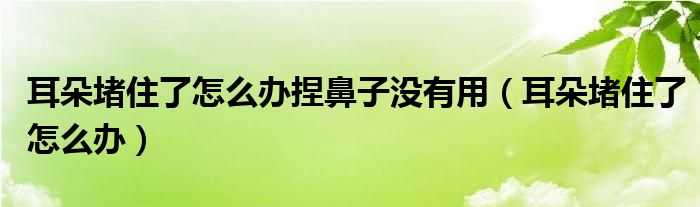 耳朵堵住了怎么辦捏鼻子沒有用（耳朵堵住了怎么辦）