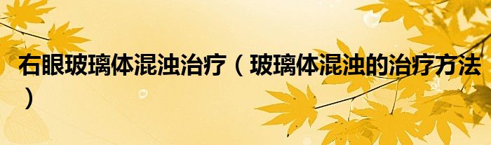 右眼玻璃體混濁治療（玻璃體混濁的治療方法）