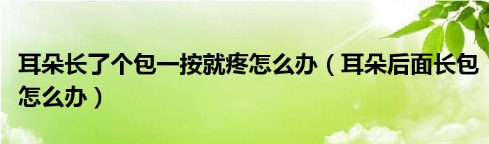 耳朵長了個包一按就疼怎么辦（耳朵后面長包怎么辦）