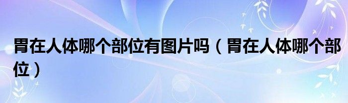 胃在人體哪個(gè)部位有圖片嗎（胃在人體哪個(gè)部位）