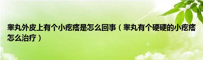 睪丸外皮上有個(gè)小疙瘩是怎么回事（睪丸有個(gè)硬硬的小疙瘩怎么治療）