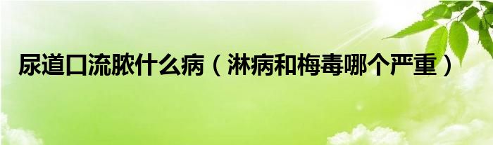 尿道口流膿什么病（淋病和梅毒哪個(gè)嚴(yán)重）