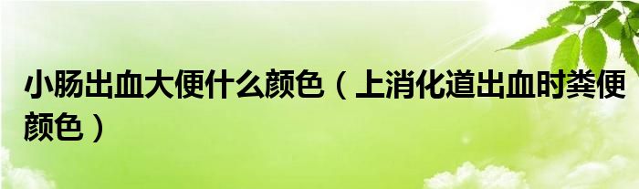 小腸出血大便什么顏色（上消化道出血時(shí)糞便顏色）