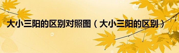 大小三陽(yáng)的區(qū)別對(duì)照?qǐng)D（大小三陽(yáng)的區(qū)別）