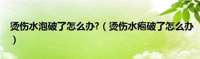 燙傷水泡破了怎么辦?（燙傷水皰破了怎么辦）