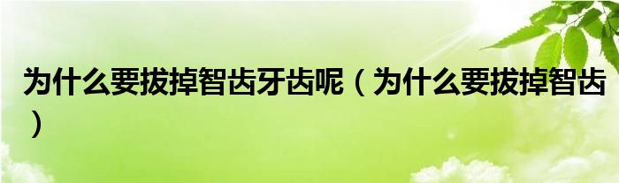 為什么要拔掉智齒牙齒呢（為什么要拔掉智齒）