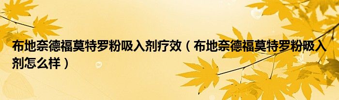 布地奈德福莫特羅粉吸入劑療效（布地奈德福莫特羅粉吸入劑怎么樣）