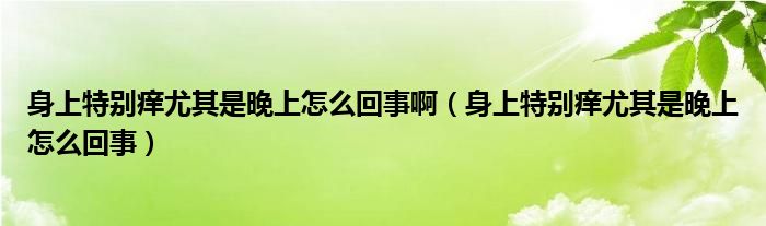 身上特別癢尤其是晚上怎么回事?。ㄉ砩咸貏e癢尤其是晚上怎么回事）