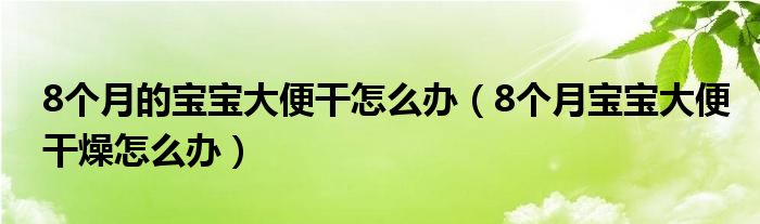 8個(gè)月的寶寶大便干怎么辦（8個(gè)月寶寶大便干燥怎么辦）