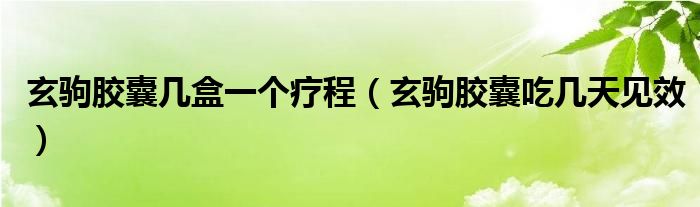 玄駒膠囊?guī)缀幸粋€(gè)療程（玄駒膠囊吃幾天見效）