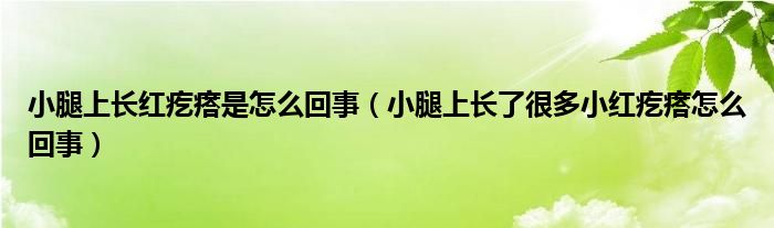 小腿上長(zhǎng)紅疙瘩是怎么回事（小腿上長(zhǎng)了很多小紅疙瘩怎么回事）