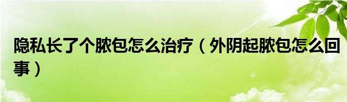 隱私長了個膿包怎么治療（外陰起膿包怎么回事）