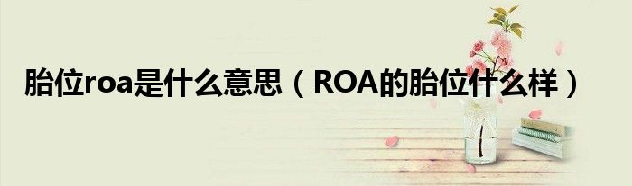 胎位roa是什么意思（ROA的胎位什么樣）