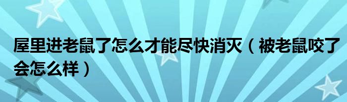 屋里進(jìn)老鼠了怎么才能盡快消滅（被老鼠咬了會(huì)怎么樣）