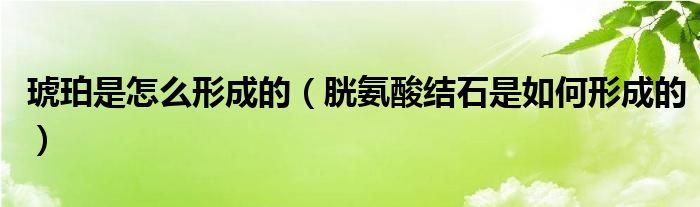 琥珀是怎么形成的（胱氨酸結(jié)石是如何形成的）