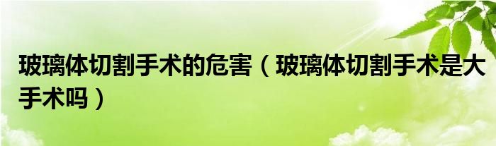 玻璃體切割手術(shù)的危害（玻璃體切割手術(shù)是大手術(shù)嗎）