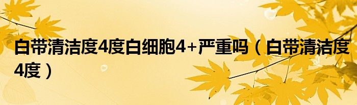 白帶清潔度4度白細(xì)胞4+嚴(yán)重嗎（白帶清潔度4度）