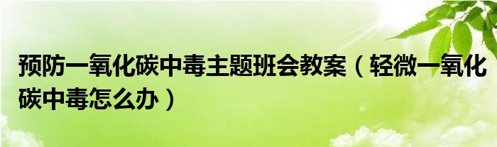 預(yù)防一氧化碳中毒主題班會教案（輕微一氧化碳中毒怎么辦）