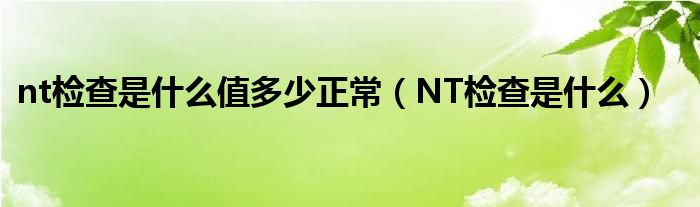 nt檢查是什么值多少正常（NT檢查是什么）