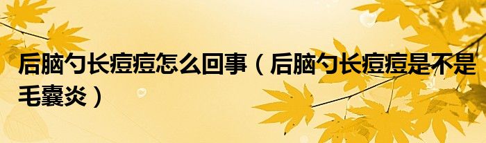 后腦勺長痘痘怎么回事（后腦勺長痘痘是不是毛囊炎）