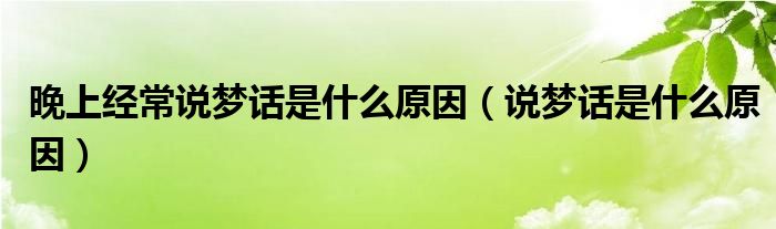 晚上經(jīng)常說(shuō)夢(mèng)話是什么原因（說(shuō)夢(mèng)話是什么原因）