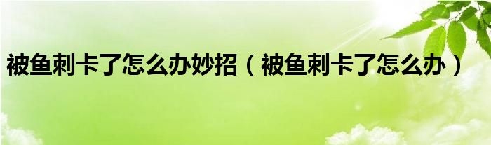 被魚刺卡了怎么辦妙招（被魚刺卡了怎么辦）