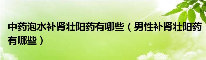 中藥泡水補(bǔ)腎壯陽藥有哪些（男性補(bǔ)腎壯陽藥有哪些）