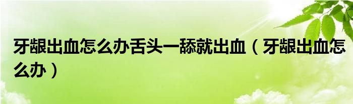 牙齦出血怎么辦舌頭一舔就出血（牙齦出血怎么辦）